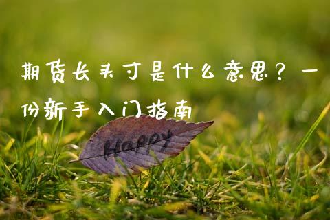 期货长头寸是什么意思？一份新手入门指南_https://wap.jnlaobingbanjia.com_财务管理_第1张
