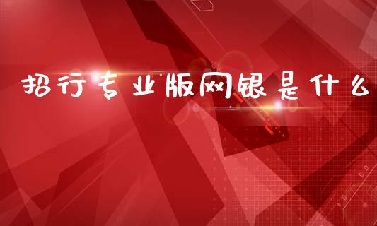 招行专业版网银是什么_https://wap.jnlaobingbanjia.com_证券公告_第1张