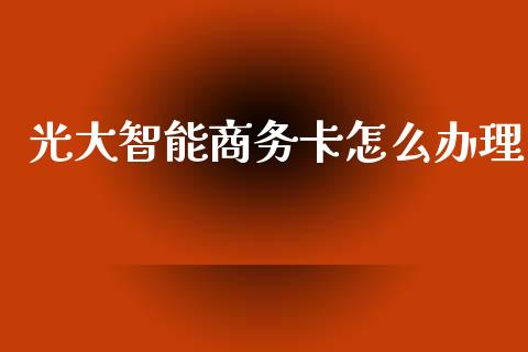 光大智能商务卡怎么办理_https://wap.jnlaobingbanjia.com_财经资讯_第1张