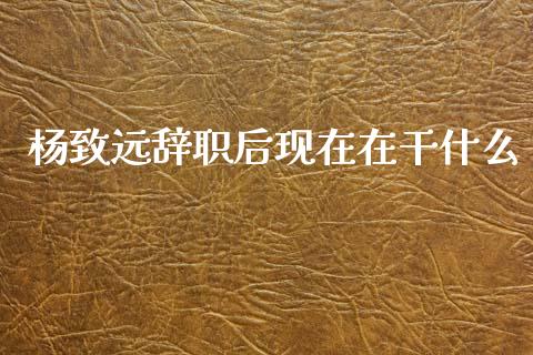 杨致远辞职后现在在干什么_https://wap.jnlaobingbanjia.com_财务管理_第1张