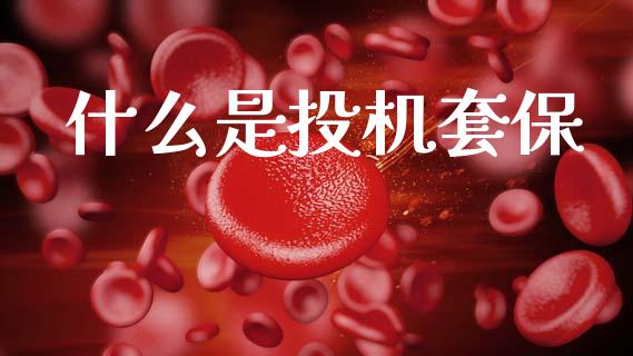 什么是投机套保_财务管理_第1张_财经资讯_股市行情_财务管理_金融理财 什么是投机套保_https://wap.jnlaobingbanjia.com_财务管理_第1张