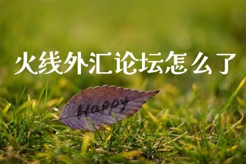 火线外汇论坛怎么了_https://wap.jnlaobingbanjia.com_财务管理_第1张