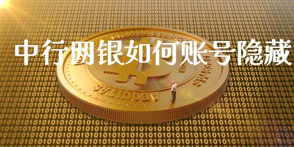 中行网银如何账号隐藏_https://wap.jnlaobingbanjia.com_财务管理_第1张