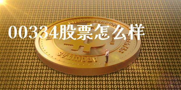 00334股票怎么样_https://wap.jnlaobingbanjia.com_财经资讯_第1张