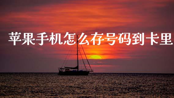 苹果手机怎么存号码到卡里_https://wap.jnlaobingbanjia.com_财务管理_第1张