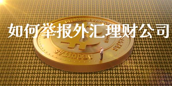 如何举报外汇理财公司_https://wap.jnlaobingbanjia.com_股市行情_第1张