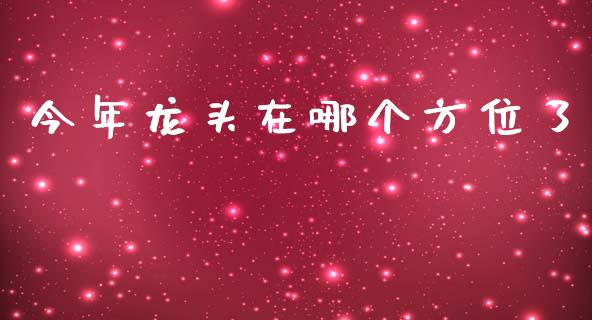 今年龙头在哪个方位了_https://wap.jnlaobingbanjia.com_金融理财_第1张