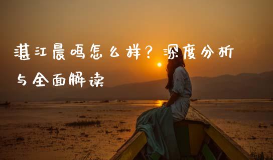 湛江晨鸣怎么样？深度分析与全面解读_https://wap.jnlaobingbanjia.com_基金分析_第1张