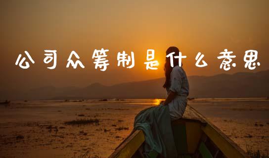 公司众筹制是什么意思_https://wap.jnlaobingbanjia.com_财务管理_第1张