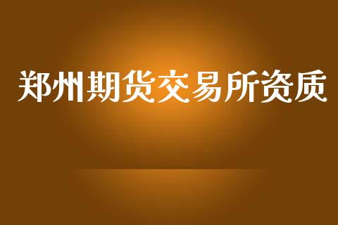 郑州期货交易所资质_https://wap.jnlaobingbanjia.com_股市行情_第1张
