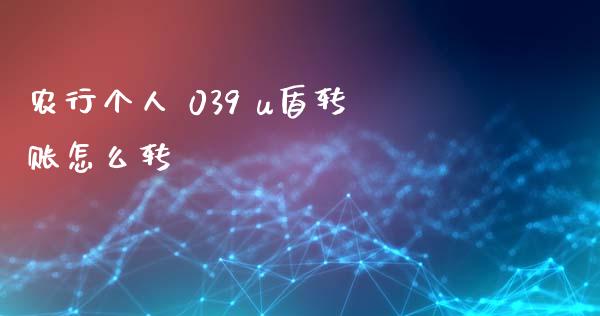 农行个人 039 u盾转账怎么转_https://wap.jnlaobingbanjia.com_财经资讯_第1张
