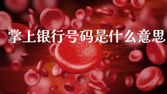 掌上银行号码是什么意思_https://wap.jnlaobingbanjia.com_证券公告_第1张