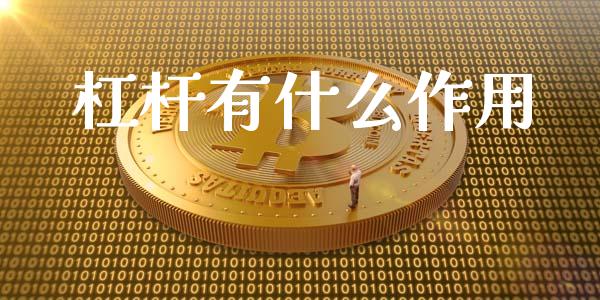 杠杆有什么作用_https://wap.jnlaobingbanjia.com_财经资讯_第1张