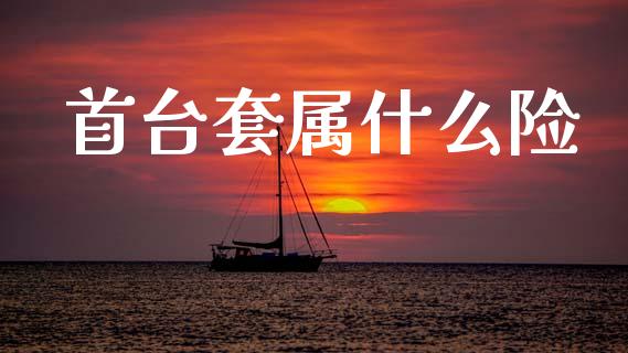 首台套属什么险_https://wap.jnlaobingbanjia.com_基金分析_第1张