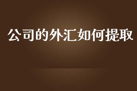 公司的外汇如何提取_https://wap.jnlaobingbanjia.com_证券公告_第1张