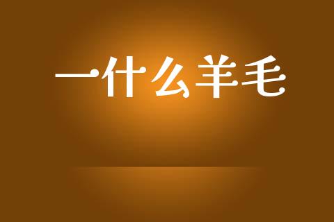 一什么羊毛_https://wap.jnlaobingbanjia.com_基金分析_第1张