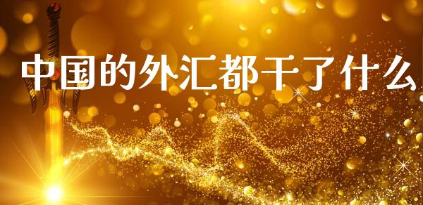 中国的外汇都干了什么_https://wap.jnlaobingbanjia.com_财务管理_第1张