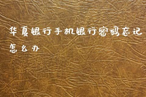 华夏银行手机银行密码忘记怎么办_https://wap.jnlaobingbanjia.com_基金分析_第1张
