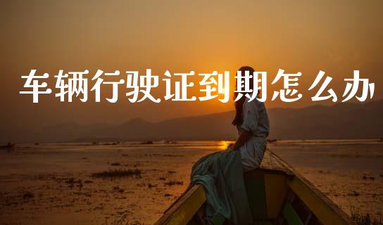 车辆行驶证到期怎么办_https://wap.jnlaobingbanjia.com_财务管理_第1张