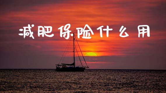减肥保险什么用_https://wap.jnlaobingbanjia.com_股市行情_第1张