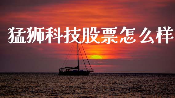 猛狮科技股票怎么样_https://wap.jnlaobingbanjia.com_证券公告_第1张