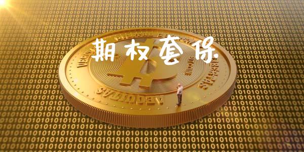 期权套保_https://wap.jnlaobingbanjia.com_金融理财_第1张