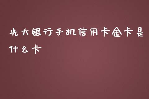 光大银行手机信用卡金卡是什么卡_https://wap.jnlaobingbanjia.com_财经资讯_第1张