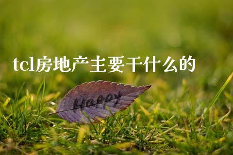 tcl房地产主要干什么的_https://wap.jnlaobingbanjia.com_基金分析_第1张