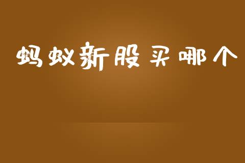 蚂蚁新股买哪个_https://wap.jnlaobingbanjia.com_基金分析_第1张