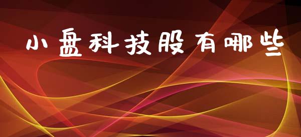 小盘科技股有哪些_https://wap.jnlaobingbanjia.com_财经资讯_第1张