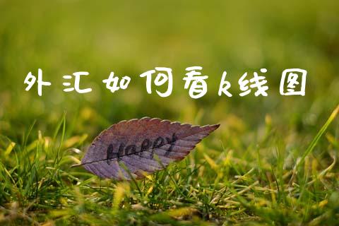 外汇如何看k线图_https://wap.jnlaobingbanjia.com_基金分析_第1张