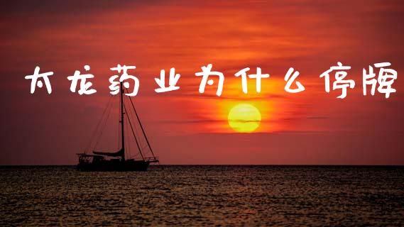 太龙药业为什么停牌_https://wap.jnlaobingbanjia.com_证券公告_第1张