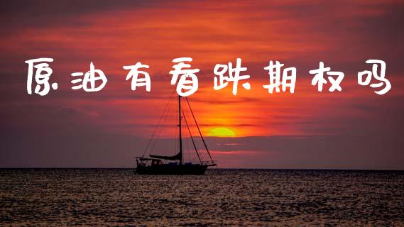 原油有看跌期权吗_https://wap.jnlaobingbanjia.com_基金分析_第1张