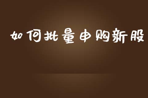 如何批量申购新股_https://wap.jnlaobingbanjia.com_财经资讯_第1张