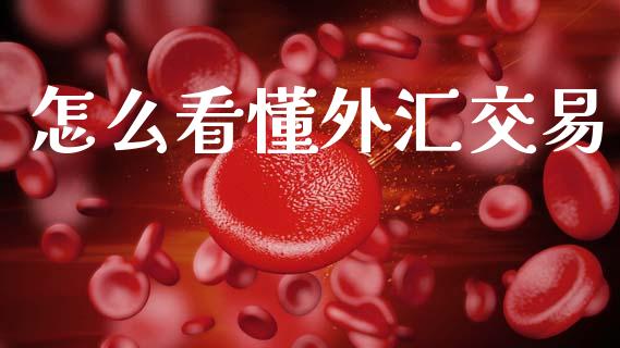怎么看懂外汇交易_https://wap.jnlaobingbanjia.com_股市行情_第1张