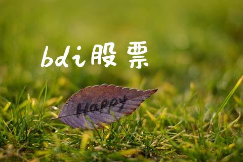 bdi股票_https://wap.jnlaobingbanjia.com_股市行情_第1张