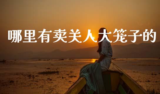 哪里有卖关人大笼子的_https://wap.jnlaobingbanjia.com_财务管理_第1张