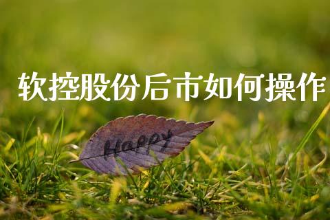 软控股份后市如何操作_https://wap.jnlaobingbanjia.com_财经资讯_第1张