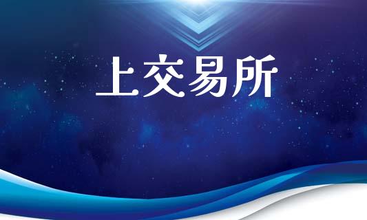 上交易所_https://wap.jnlaobingbanjia.com_证券公告_第1张