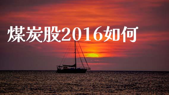 煤炭股2016如何_https://wap.jnlaobingbanjia.com_金融理财_第1张