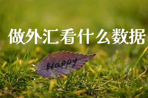 做外汇看什么数据_https://wap.jnlaobingbanjia.com_股市行情_第1张