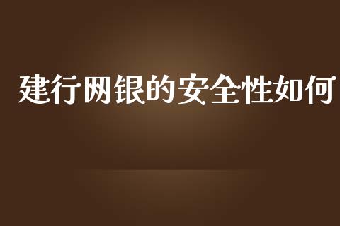 建行网银的安全性如何_https://wap.jnlaobingbanjia.com_证券公告_第1张