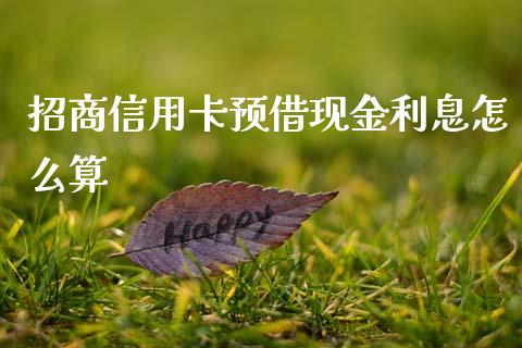 招商信用卡预借现金利息怎么算_https://wap.jnlaobingbanjia.com_证券公告_第1张