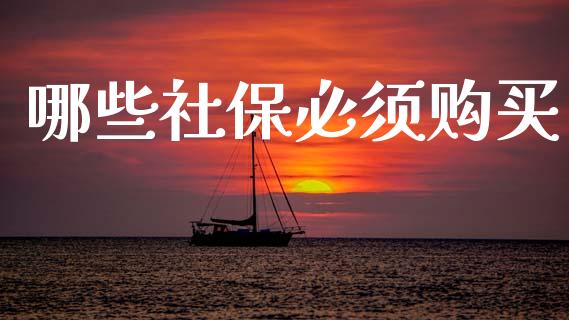 哪些社保必须购买_https://wap.jnlaobingbanjia.com_财经资讯_第1张