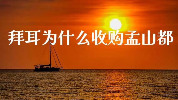 拜耳为什么收购孟山都_https://wap.jnlaobingbanjia.com_财务管理_第1张