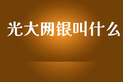 光大网银叫什么_https://wap.jnlaobingbanjia.com_证券公告_第1张