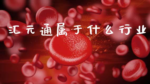汇元通属于什么行业_https://wap.jnlaobingbanjia.com_证券公告_第1张