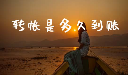 转帐是多久到账_https://wap.jnlaobingbanjia.com_财经资讯_第1张