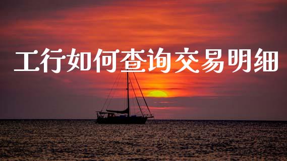 工行如何查询交易明细_https://wap.jnlaobingbanjia.com_财务管理_第1张