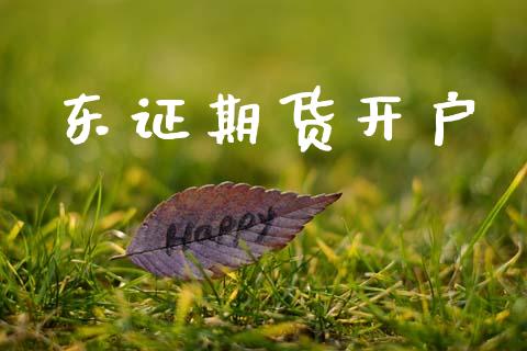 东证期货开户_https://wap.jnlaobingbanjia.com_股市行情_第1张